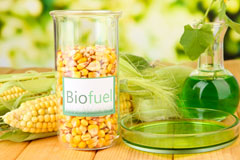 Llanberis biofuel availability