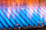 Llanberis gas fired boilers